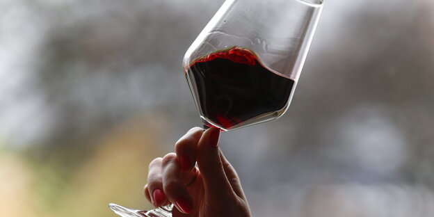 Ein Glas mit Rotwein Ein Glas mit Rotwein