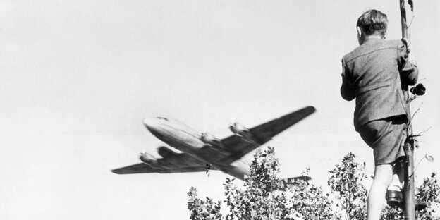 Junge auf einem Baum, der ein Flugzeug beobachtet Junge auf einem Baum, der ein Flugzeug beobachtet