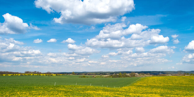 Ein weitläufiges Feld, dahinter Himmel Ein weitläufiges Feld, dahinter Himmel
