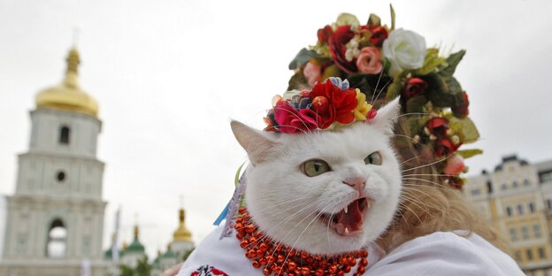 Eine Katze mit Blumenschmuck auf dem Kopf, sitzt fauchend auf dem Arm einer Frau, die ebenfalls Blumenschmuck auf dem Kopf trägt Eine Katze mit Blumenschmuck auf dem Kopf, sitzt fauchend auf dem Arm einer Frau, die ebenfalls Blumenschmuck auf dem Kopf trägt
