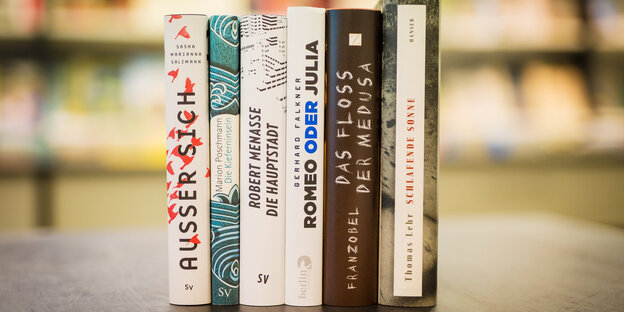 Sechs Bücher stehen nebeneinander auf einem Tisch. Sechs Bücher stehen nebeneinander auf einem Tisch.