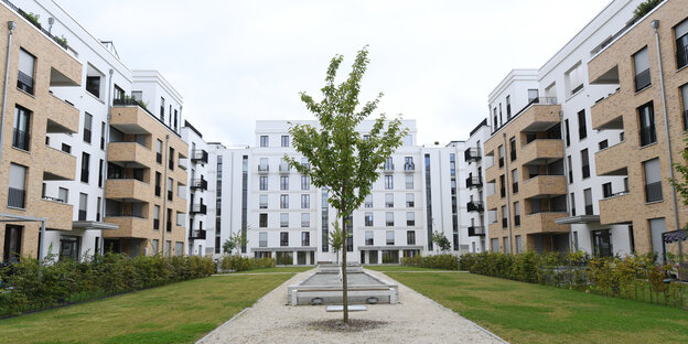 Mehrfamilienhäuser stehen um einen Hof mit Bäumen Mehrfamilienhäuser stehen um einen Hof mit Bäumen