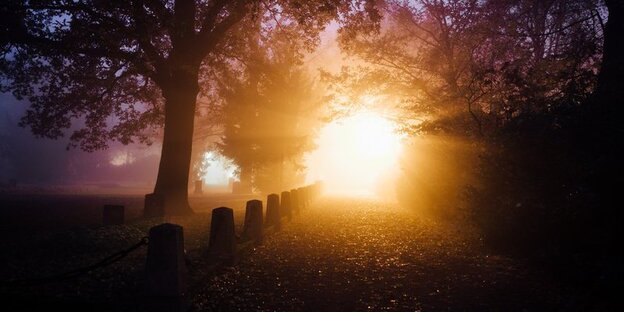 Ein Friedhof im Gegenlicht