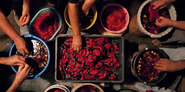 Von oben fotografiert sind Behälter mit Paprika und Arme und Hände bei der Zubereitung Von oben fotografiert sind Behälter mit Paprika und Arme und Hände bei der Zubereitung