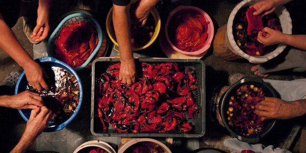 Von oben fotografiert sind Behälter mit Paprika und Arme und Hände bei der Zubereitung