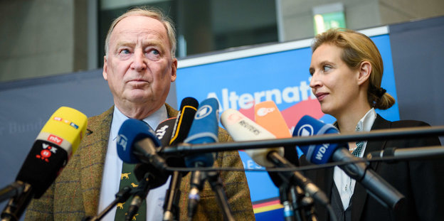 Alexander Gauland und Alice Weidel vor Mikrofonen Alexander Gauland und Alice Weidel vor Mikrofonen