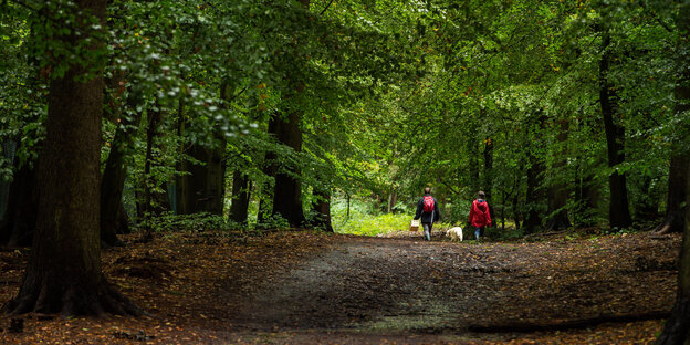 Menschen im Wald mit Hund Menschen im Wald mit Hund