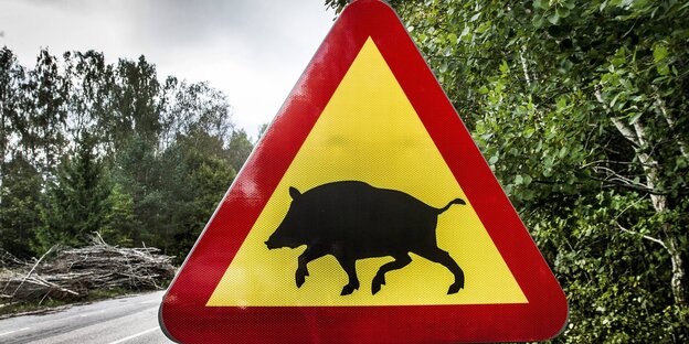 Ein dreieckiges Straßenschild, auf dem die Umrisse eines Wildschweines zu sehen sind Ein dreieckiges Straßenschild, auf dem die Umrisse eines Wildschweines zu sehen sind