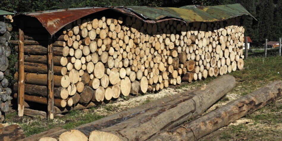 Energiewende schlecht für Naturschutz: Öko bedroht Bio - taz.de