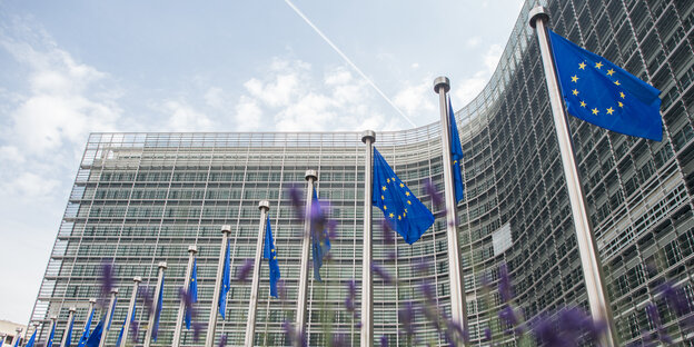 Fahnen vor der EU-Komission in Brüssel Fahnen vor der EU-Komission in Brüssel