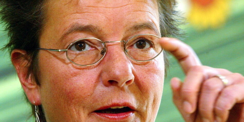 <b>Angelika Beer</b> über Piraten und Grüne: &quot;Die Menschen trauen der Politik <b>...</b> - beer1