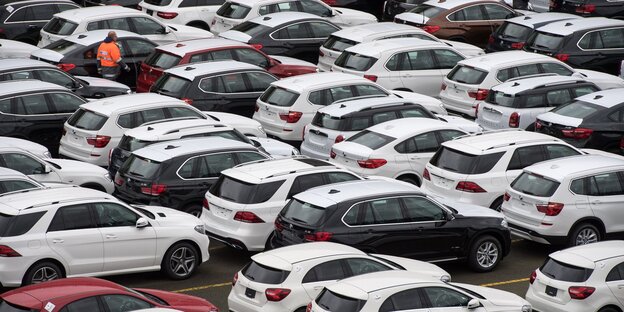 Viele Neuwagen stehen nebeneinander auf einem Parkplatz