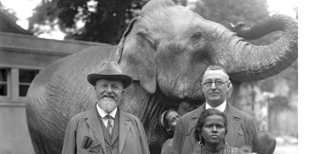 Ludwig Heck im gruppenbild vor einem Elefanten Ludwig Heck im gruppenbild vor einem Elefanten