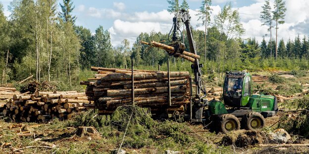 Holz wird aus einem Waldgebiet abtransportiert Holz wird aus einem Waldgebiet abtransportiert
