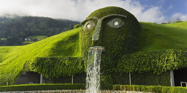 Ein Waserfall stüzt aus einem grünen Hügel, der wie ein Gesicht geformt ist Ein Waserfall stüzt aus einem grünen Hügel, der wie ein Gesicht geformt ist