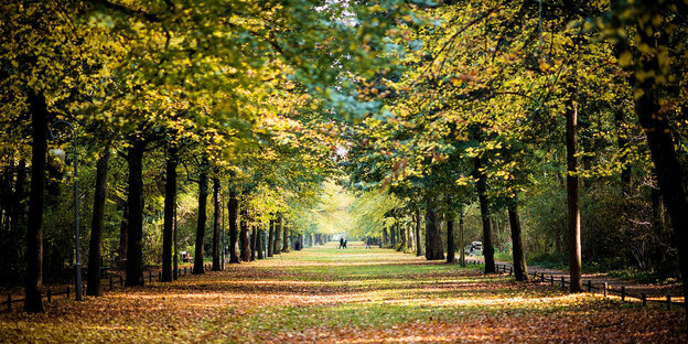 Spaziergänger sind im Tiergarten in Berlin unterwegs Spaziergänger sind im Tiergarten in Berlin unterwegs