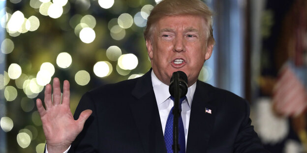 Donald Trump spricht in ein Mikrofon Donald Trump spricht in ein Mikrofon