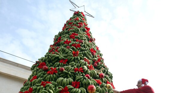 Ein Mann schmückt einen Weihnachtsbaum aus Bananen Ein Mann schmückt einen Weihnachtsbaum aus Bananen