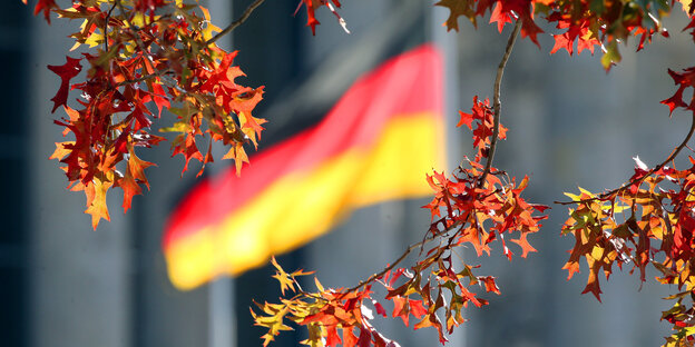 Herbstlich gefärbte Blätter vor einer Deutschland-Fahne Herbstlich gefärbte Blätter vor einer Deutschland-Fahne