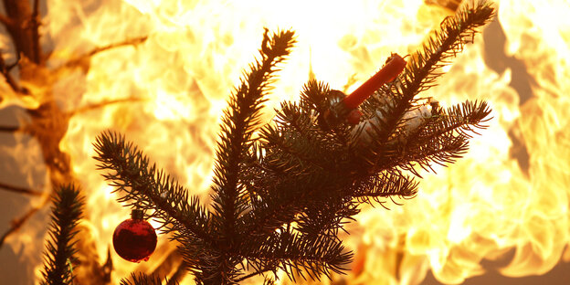 Der lichterloh brennede Zweig eines Christbaums Der lichterloh brennede Zweig eines Christbaums