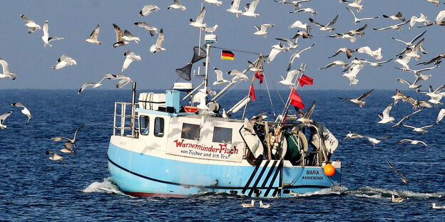 Ein Boot auf dem Meer. Drüber kreisen Möwen