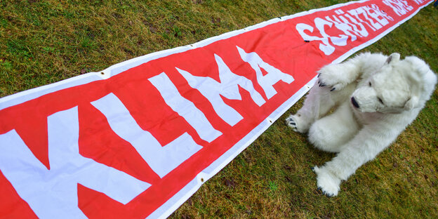 Ein als Eisbär verkleideter Mann sitzt neben einem Banner auf dem das Wort Klima steht Ein als Eisbär verkleideter Mann sitzt neben einem Banner auf dem das Wort Klima steht