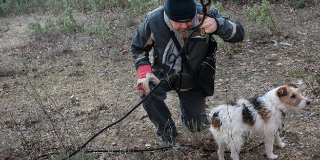 Ein Mann riecht an Trüffeln, neben ihm steht ein Hund