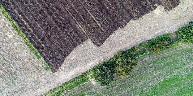 Vogelperspektive auf ein Feld Vogelperspektive auf ein Feld