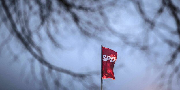 Eine SPD-Fahne scheint durch Äste hindurch Eine SPD-Fahne scheint durch Äste hindurch