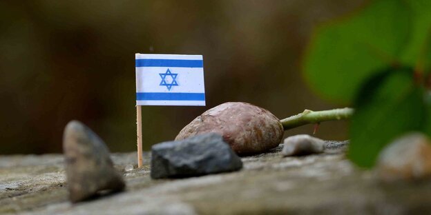 Eine kleine Israel-Fahne steckt auf einem Gedenkstein auf dem ehemaligen Lagergelände des KZ Bergen-Belsen. Eine kleine Israel-Fahne steckt auf einem Gedenkstein auf dem ehemaligen Lagergelände des KZ Bergen-Belsen.