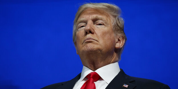 Porträt Trump Porträt Trump