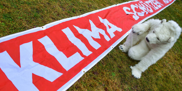 Klimaprotestler mit Eisbärenkostüm vor einem Banner Klimaprotestler mit Eisbärenkostüm vor einem Banner