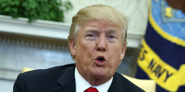 Donald Trump im Porträt Donald Trump im Porträt