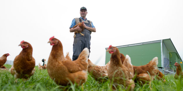 Hühner im Gras, im Hintergrund steht ein Bauer, der eines auf dem Arm hält