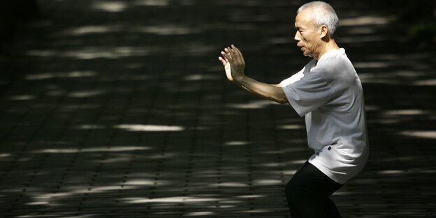 Ein Chinese macht Tai Chi im Ritan Park in Peking Ein Chinese macht Tai Chi im Ritan Park in Peking