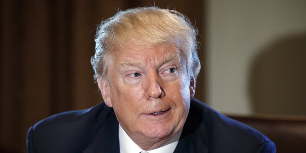Donald Trump im Portrait Donald Trump im Portrait