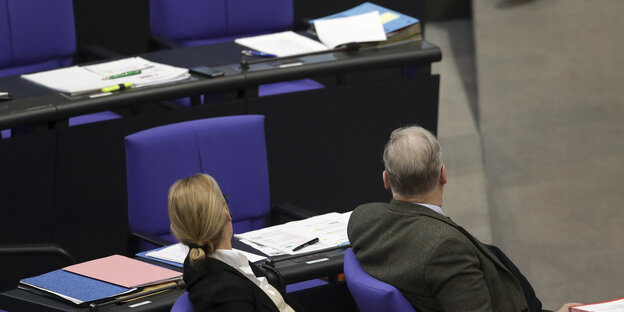 Alice Weidel und Alexander Gauland im Bundestag, vom Betrachter abgewandt Alice Weidel und Alexander Gauland im Bundestag, vom Betrachter abgewandt