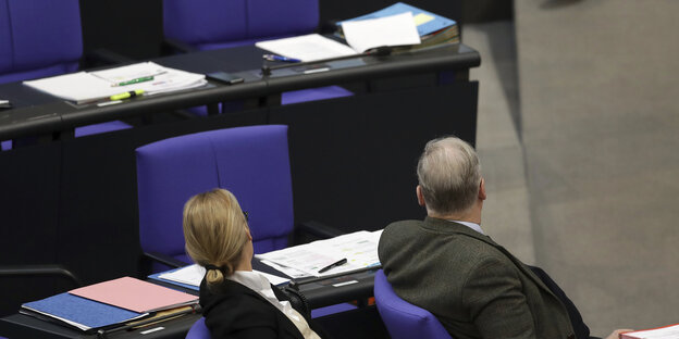 Alice Weidel und Alexander Gauland im Bundestag, vom Betrachter abgewandt