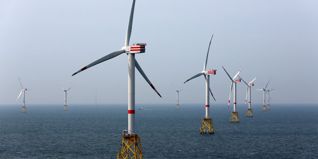 Windräder im Windpark Nordsee Ost, 30 km vor Helgoland (Schleswig-Holstein) Windräder im Windpark Nordsee Ost, 30 km vor Helgoland (Schleswig-Holstein)