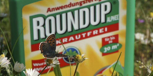 Ein Schmetterling landet auf einer Blume, im Hintergrund sieht man eine Flasche mit dem Aufdruck "Roundup" Ein Schmetterling landet auf einer Blume, im Hintergrund sieht man eine Flasche mit dem Aufdruck "Roundup"