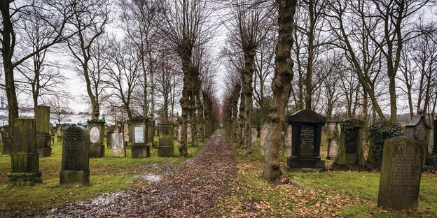 Gräber und Bäume auf dem jüdischen Friedhof