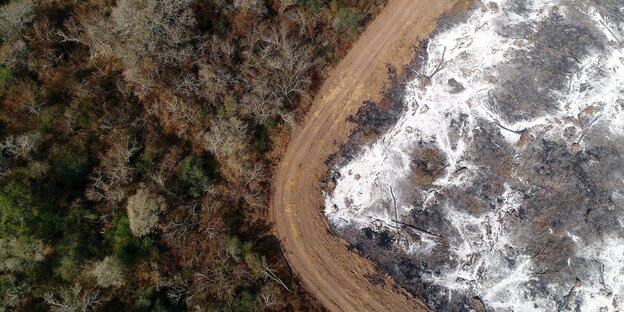 Luftaufnahme: Eine nach Brand-Rodung mit Asche bedeckte Fläche Luftaufnahme: Eine nach Brand-Rodung mit Asche bedeckte Fläche