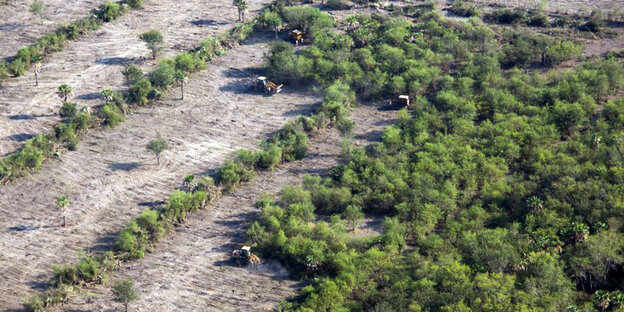 Rodungen für Sojaanbau in Paraguay Rodungen für Sojaanbau in Paraguay
