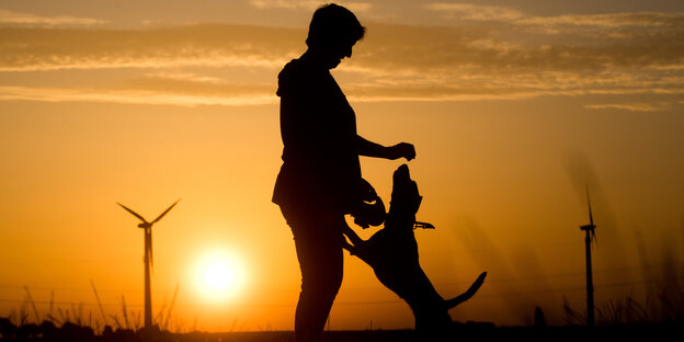 Ein Hund springt im Sonnenuntergang an einem Menschen hoch. Ein Hund springt im Sonnenuntergang an einem Menschen hoch.