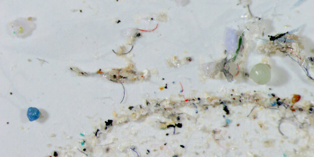 Plastikpartikel in verschiedenen Größen Plastikpartikel in verschiedenen Größen
