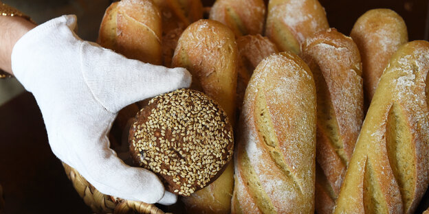 Brötchen und Baguettes liegen in einem Korb. Eine Hand in einem Handschuh greift danach. Brötchen und Baguettes liegen in einem Korb. Eine Hand in einem Handschuh greift danach.