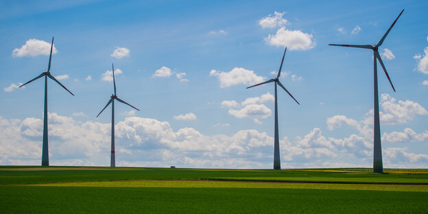 Windkrafträder auf grüner Wiese vor blauem Himmel Windkrafträder auf grüner Wiese vor blauem Himmel