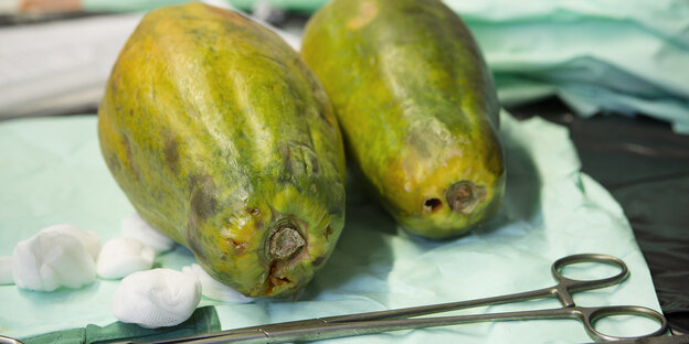 Papayas neben OP-Besteck Papayas neben OP-Besteck