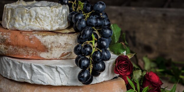 Verschiedene Käse liegen übereinandergestapelt. Darunter auch Camembert Verschiedene Käse liegen übereinandergestapelt. Darunter auch Camembert