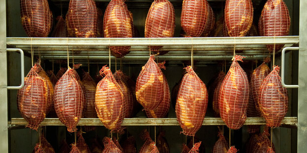 In einer Räucherkammer hängen angebunden an einer Stange zahlreiche Schweinschinken In einer Räucherkammer hängen angebunden an einer Stange zahlreiche Schweinschinken